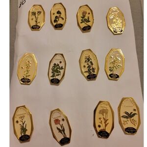 Lions Club International Native American Botanical Flower Trading Pin Lot of 11